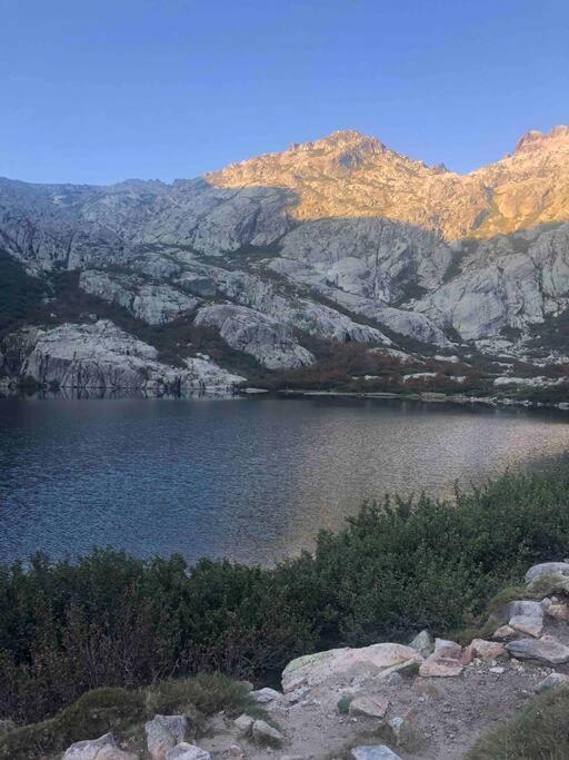 Appartement Au Coeur De La Ville Corte  Dış mekan fotoğraf