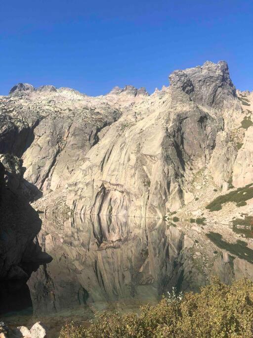 Appartement Au Coeur De La Ville Corte  Dış mekan fotoğraf