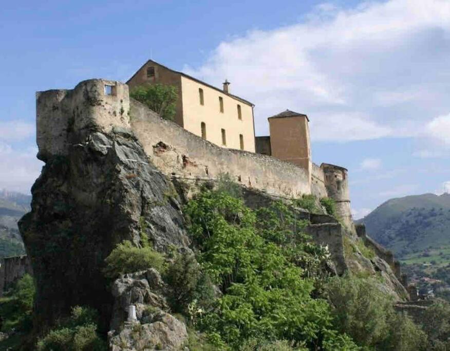 Appartement Au Coeur De La Ville Corte  Dış mekan fotoğraf